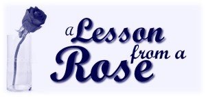 lesson-from-a-rose